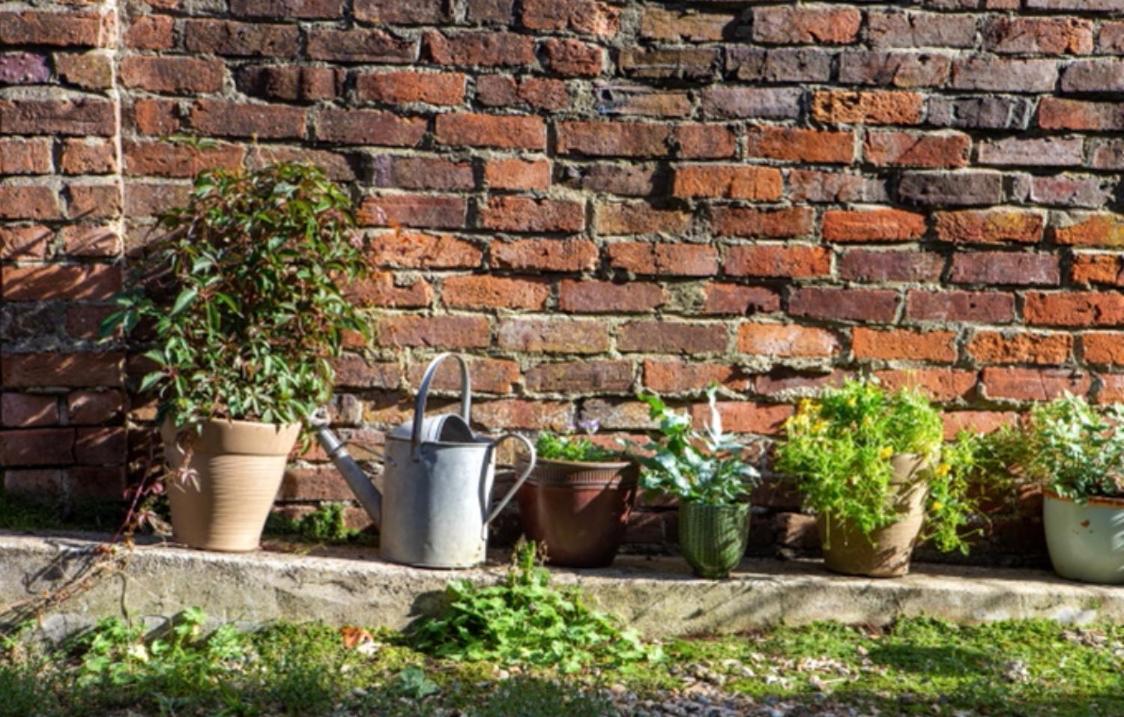 Bridport Garden Suite Exterior photo